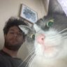 Profilbild von Ari