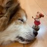 Profilbild von はにチロ。(旧ちろっとる。)