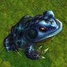 Blue Frog profil fotoğrafı