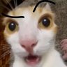 Mattツ 的头像