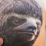 Josh profil fotoğrafı