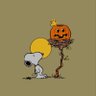 Disco Bugs Snoopy season's profile picture