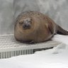 ふりーさん profil fotoğrafı