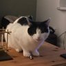 Lucy Rover 123 profil fotoğrafı