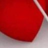 Joseph Taithul's profile picture