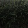 Xun ANGEL's profile picture