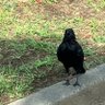 あぺ profil fotoğrafı