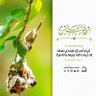 Profilbild von حيدر