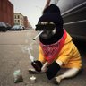 Фото профиля Big Smoke