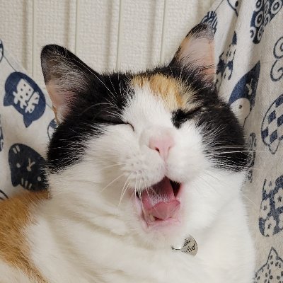 ymgc_106's profile picture
