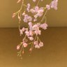 あくびちゃん 的头像
