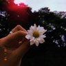 Naomi Miller's profile picture