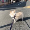 moooooni profil fotoğrafı