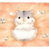 たかのじゅん☆'s profile picture