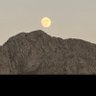 Younas Bugti's profile picture