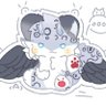 沐白洛's profile picture