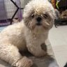 Mikewhit739 profil fotoğrafı