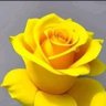 abwlaalghryb12 @gmail.com 的头像