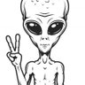 Profilbild von D'Marte