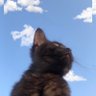 LO._.ly🇱🇾's profile picture