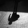 Shadow 的头像