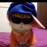 Duda_Machado's profile picture