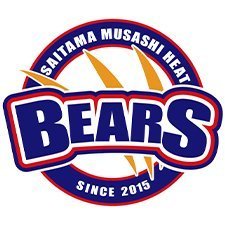 musashi_bears's profile picture