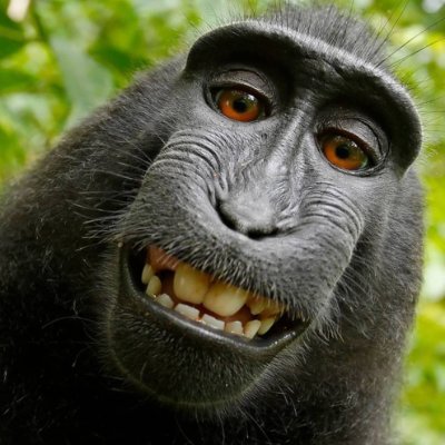 Paquito777869's profile picture