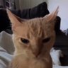 ❈'Dexel'♱'s profile picture