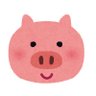 とんとん🐽 profil fotoğrafı