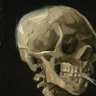 Cerebral Damage's profile picture