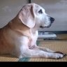 Фото профиля 馬は友だち