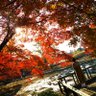 じゅんぼっち@🔺とんがりコイナーJK profil fotoğrafı