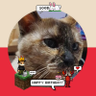 Nokkraten ของพี่จ้าน (fan account) 168 profil fotoğrafı