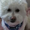 IssyBarney2 profil fotoğrafı