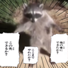 星河废料 profil fotoğrafı