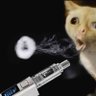 ronnymouse 的头像