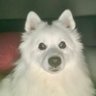 Lorna's profile picture