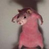 Profilbild von Ratoᶜᵉᶜ 🤍🐉