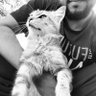lyes guendouz profil fotoğrafı