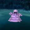 donaldturner51i's profile picture