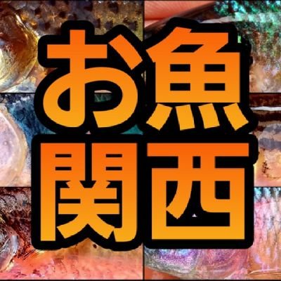 osakana_kansai's profile picture
