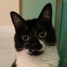 🐾べべ黒新党〜輪廻転生🦭因果応報👹〜るんるん🎶 profil fotoğrafı