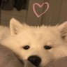 เนกอยาเฉยๆ ♡🐻‍❄️'s profile picture