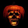 Halloween II (1981) Lover 的头像