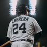tiger baseball IS BACK 的头像