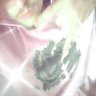 f e r n n a n d e s's profile picture