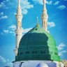 BABAR-AL-HUSSAN (Nizzami)'s profile picture