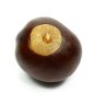 Buckeye profil fotoğrafı