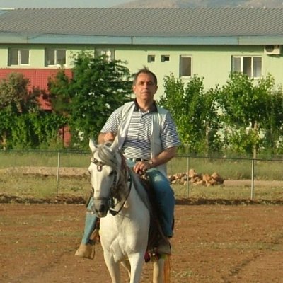Yusuf Metin's profile picture